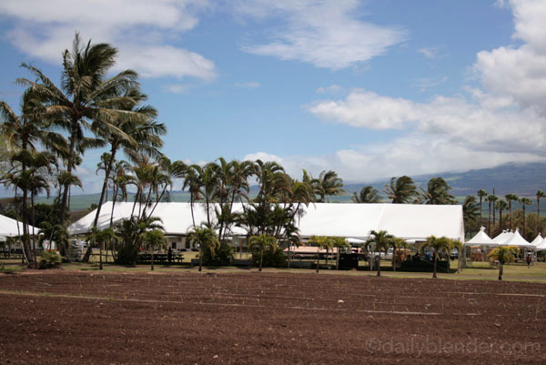 Celebrating The Best of Maui at the 2012 Maui County Agricultural Festival