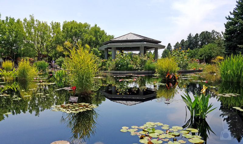 Denver Botanic Gardens, Denver, Colorado [dailyblender.com]