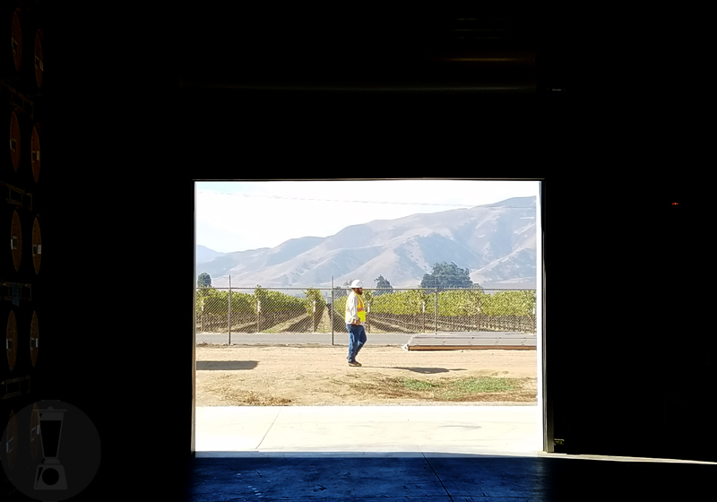 J. Lohr Vineyards & Wines, California [dailyblender.com]
