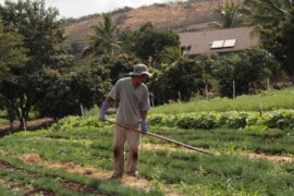 A photo of a man sowing a garden