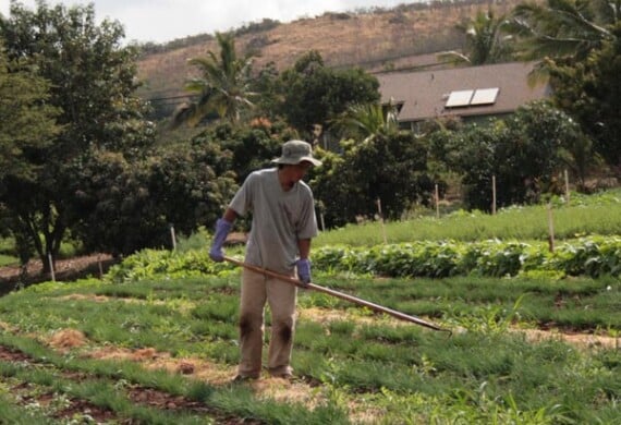 A photo of a man sowing a garden