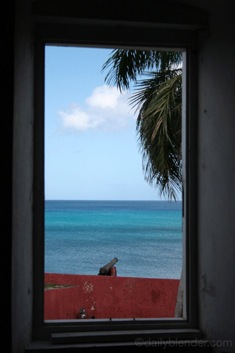 St. Croix, USVI © Jennifer Heigl / Daily Blender [DAILYBLENDER.COM]