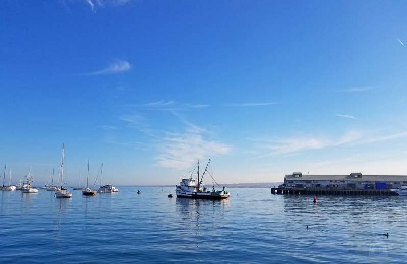 Monterey Bay, California [dailyblender.com]