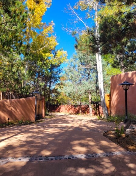 A stone pathway and trees