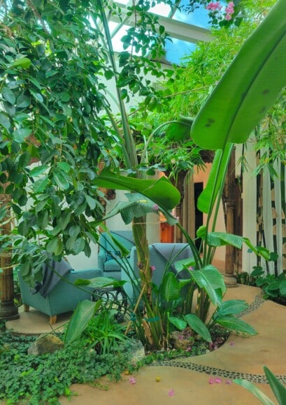 Trees and chairs in a luxury spa