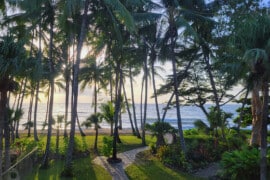 A beach with palm trees